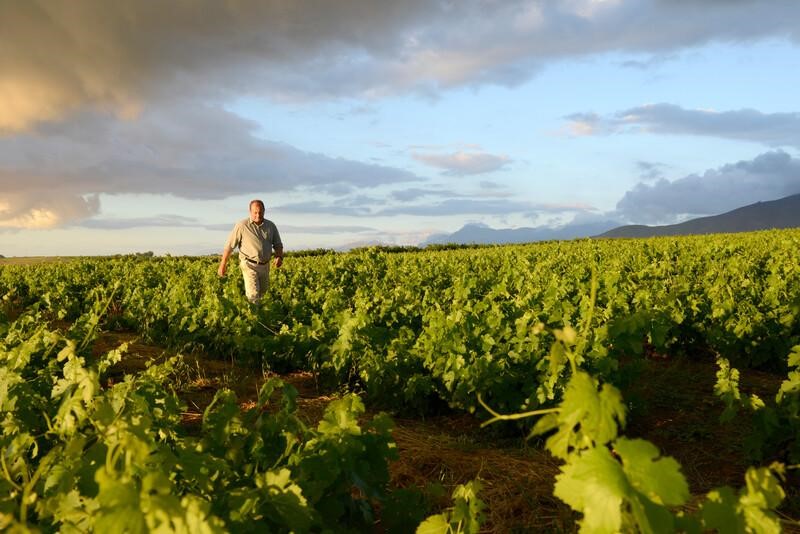 Ribshack Red Douglas Green Wine Farming South Africa